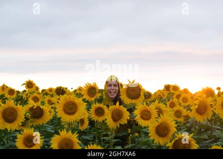 belle jeune femme debout dans un champ de tournesols. Banque D'Images