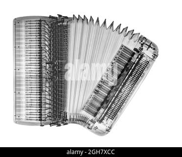 Rayons X d'un accordéon sur fond blanc Banque D'Images