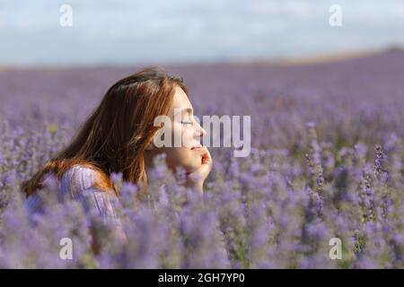 Vue latérale portrait d'une femme qui se repose et se détend au milieu du champ de lavande Banque D'Images