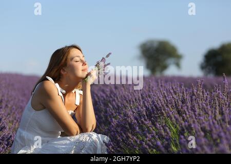 Femme satisfaite se reposant et détendant bouquet de fleurs dans le champ de lavande Banque D'Images