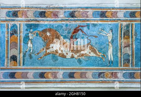 Minoan Fresco, taureau, du Palais de Knossos, nouvelle période de palais, 1450 av. J.-C. Musée archéologique d'Héraklion, Crète, Grèce. Banque D'Images