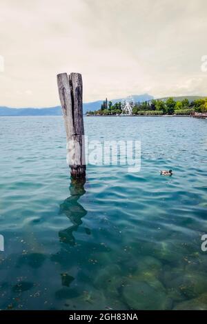 Poteau en bois dans le lac de Garde avec montagne en arrière-plan Banque D'Images