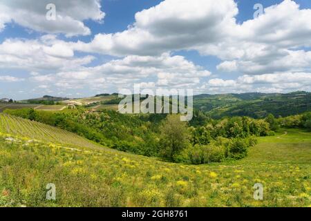 Paysage rural au printemps à Langhe près de Dogliani, province de Cuneo, Piémont, Italie, site du patrimoine mondial de l'UNESCO. Banque D'Images