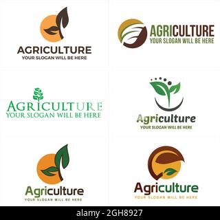 Agriculture feuille de plantes de jardinage de la ferme conception de logo Illustration de Vecteur