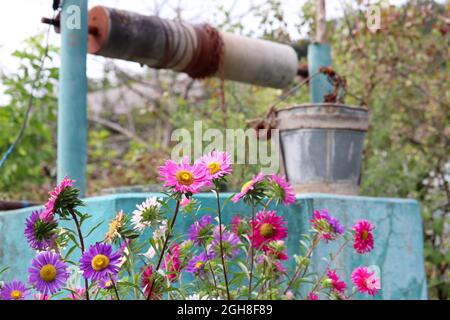 Vue à travers les fleurs à vieux puits avec seau en étain dans la cour dans un village. Scène rurale, approvisionnement en eau à la campagne Banque D'Images