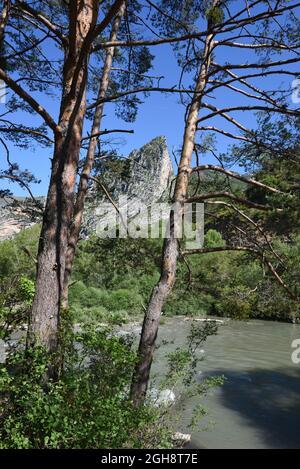 Vue à travers les pins de la formation géologique connue sous le nom de porte de Saint-Jean dans la gorge du Verdon et le fleuve Verdon Alpes-de-haute-Provence France Banque D'Images