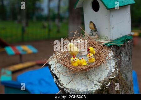 Poulets dans le nid. Les poulets sont faits de laine. Décoration pour la cour de jardin d'enfants. Maison de poulets dans la rue. Oiseaux jaunes mignons. Banque D'Images