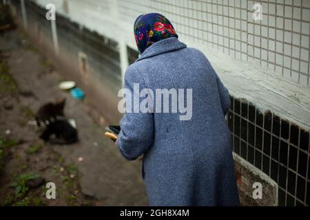 Femme à la retraite en Russie. Femme âgée en Europe de l'est qui nourrit des chats. Une vieille femme près de la maison sous un manteau chaud prend soin des animaux sans abri. Ancien Banque D'Images