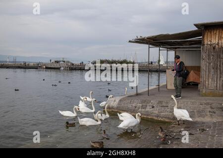 Genève en Suisse, à la pointe sud de l'expansion du lac Léman (lac Léman), Banque D'Images