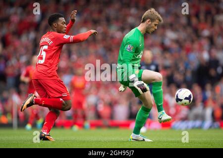 Daniel Sturridge de Liverpool et David de Gea de Manchester United en action lors du match de la Barclays Premier League entre Liverpool et Manchester United à l'Anfield à Liverpool le 1er septembre 2013. . Banque D'Images