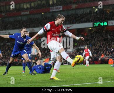 Nicklas Bendtner d'Arsenal a marquant son premier but lors du match de la Barclays Premier League entre Arsenal et Cardiff City au stade Emirates de Londres, en Grande-Bretagne, le 1er janvier 2014. Banque D'Images