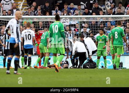 Aleksandar Mitrovic, de Newcastle United, est blessé sur le terrain lors du match de la Barclays Premier League au stade St Jamen' Park. Le crédit photo devrait se lire comme suit : Scott Hepell/Sportimage via PA Images Banque D'Images