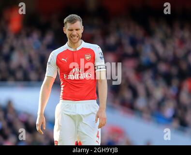 Le per Mertesacker d'Arsenal est abattu lors du match de la Barclays Premier League au stade Emirates. Le crédit photo doit être lu : David Klein/Sportimage via PA Images Banque D'Images