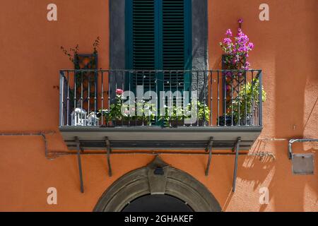 Détail de la façade orange d'une ancienne maison avec plantes en pots fleuries sur un petit balcon en été, Livourne, Toscane, Italie Banque D'Images