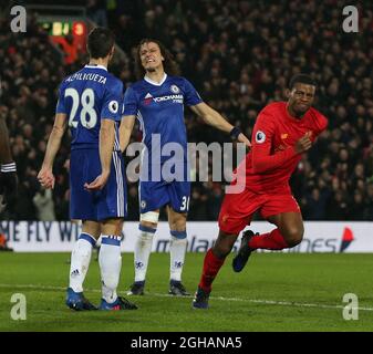 Georgina Wijnaldum, de Liverpool, célèbre le but égalisateur lors du match de la Premier League anglaise au stade Anfield, à Liverpool. Date de la photo : 31 janvier 2017. Photo Simon Bellis/Sportimage via PA Images Banque D'Images