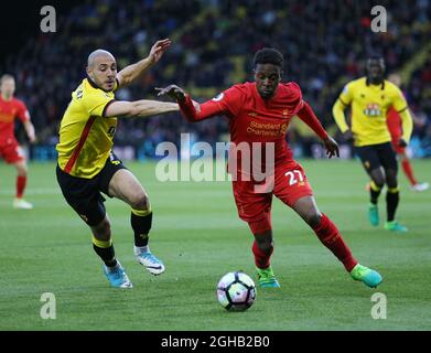 Le Nordin Amrabas de Watford se trouve aux côtés du Divock Origi de Liverpool lors du match de la Premier League au stade Vicarage Road, à Londres. Date de la photo : 1er mai 2017. Le crédit PIC devrait se lire comme suit : David Klein/Sportimage via PA Images Banque D'Images