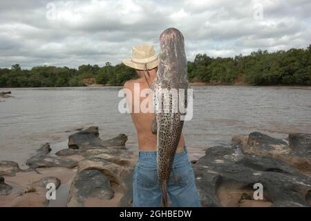 Le pêcheur porte un pintado ( Pseudoplatystoma corruscans, le sorubime tacheté - une espèce de poisson-chat à long fouet ). Banque D'Images