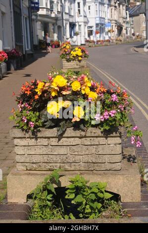 Fleurs dans une rue de Beer, Devon, Angleterre, Royaume-Uni Banque D'Images