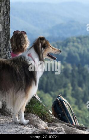 collie rugueuse observant la zone environnante avec vigilance. Randonneur féminin avec sac à dos en arrière-plan. Animaux de compagnie, amitié, dressage de chiens et concepts de randonnée Banque D'Images