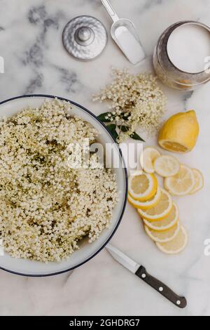 Préparation de la fleur de sureau cordiale avec des fleurs fraîches, du sucre et du citron Banque D'Images