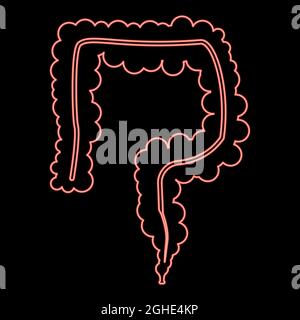 Illustration vectorielle rouge fluo intestin image lumineuse de style plat Illustration de Vecteur