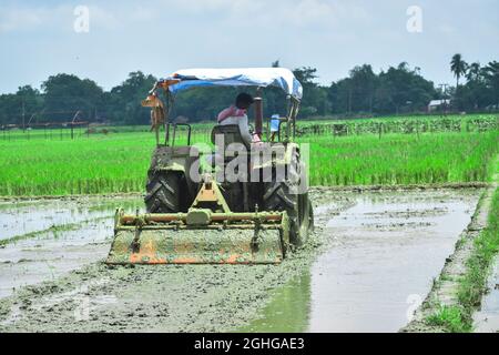 BANKURA, INDE - 02 juin 2020 : un homme utilisant un tracteur pour labourer le sol sur le terrain à Bankura, Inde Banque D'Images