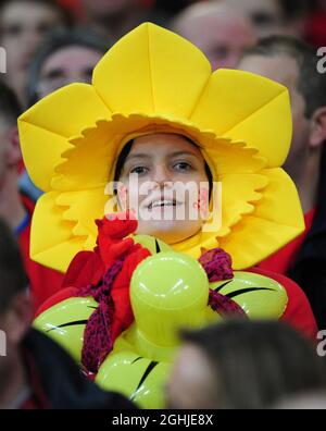 Une dame de rugby galloise fan d'un costume de jonquille lors de la série permanente Invesco 09 entre le pays de Galles et l'Argentine. Banque D'Images