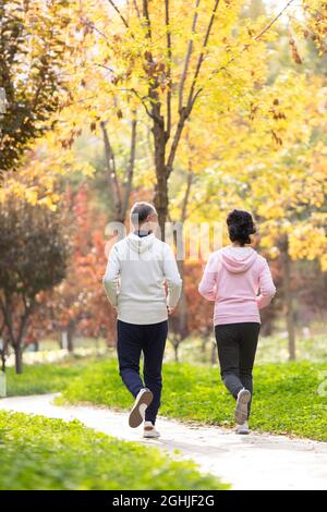 Couple senior heureux courant dans le parc Banque D'Images