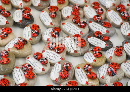 pierres décoratives, coccinelles peintes avec messages d'amour Banque D'Images