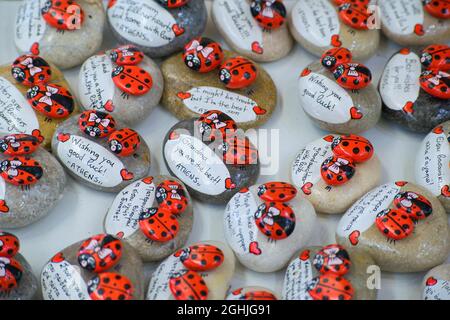 pierres décoratives, coccinelles peintes avec messages d'amour Banque D'Images