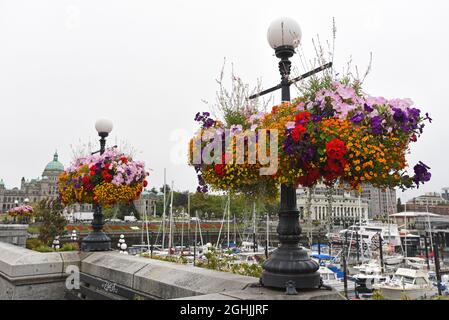 Les fleurs fleurissent dans des paniers en mangeant le long du port intérieur, au centre-ville de Victoria, en Colombie-Britannique, au Canada, sur l'île de Vancouver. À l'arrière gauche se trouve la prov Banque D'Images