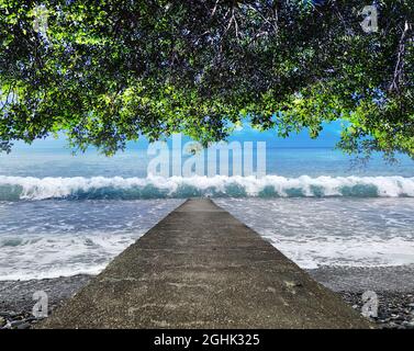 Les feuilles de palmiers sur la plage tropicale de Sunny. Vacances d'été et concept de fond de plage tropicale Banque D'Images