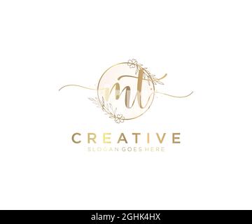 Mt logo féminin beauté monogramme et élégant logo design, écriture logo de la signature initiale, mariage, mode, floral et botanique avec la création Illustration de Vecteur