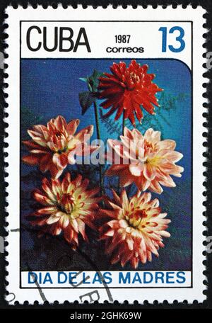 CUBA - VERS 1987 : un timbre imprimé à Cuba montre des dahlia, des fleurs, vers 1987 Banque D'Images