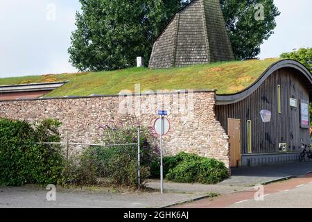 Hardenberg, pays-Bas - août 25 2021. Le toit vert d'un centre d'information sur la nature aux pays-Bas. Un toit de séjour est respectueux de l'environnement Banque D'Images