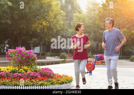 Bon couple senior dans le parc Banque D'Images