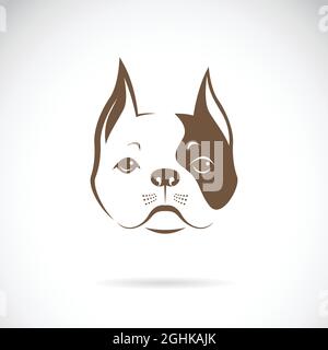 Vecteur d'un visage de chien sur fond blanc. Bulldog. Logo animal. Illustration de Vecteur