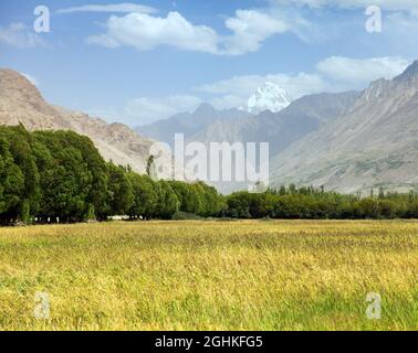 Champ de céréales dans la vallée de Wakhan, les montagnes hindoukush, la région de Gorno-badakhshan, le Tadjikistan et la frontière afghane Banque D'Images