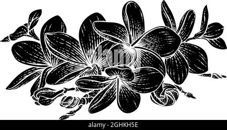 Plumeria Frangipani Tropical Bali Flower Etching Illustration de Vecteur