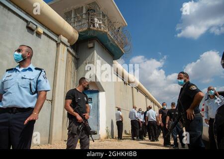 (210907) -- JÉRUSALEM, 7 septembre 2021 (Xinhua) -- des membres de la police israélienne, Division de l'identification et des sciences judiciaires, recherchent des preuves dans un champ près de la prison de Gilboa, dans le nord d'Israël, 6 septembre 2021. Six prisonniers palestiniens se sont échappés d'une prison en Israël lundi, ce qui a provoqué une chasse à l'homme massive, a déclaré les autorités israéliennes. (Photo par Gil Eliyahu/JINI via Xinhua ) Banque D'Images