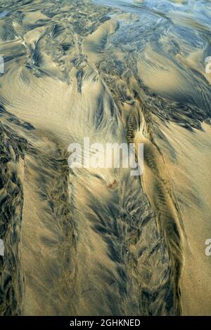 Détails fluviaux sur une plage où la tourbe est lavée dans le sable et la marée crée de beaux motifs. Reef Beach dans l'île de Lewis. Banque D'Images