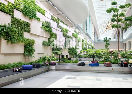 SINGAPOUR, SINGAPOUR - MARS 2019 : arrivée de bagages parmi les plantes vertes luxuriantes de l'aéroport de Changi. L'aéroport Changi de Singapour, l'un des plus grands transports Banque D'Images