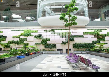 SINGAPOUR, SINGAPOUR - MARS 2019 : arrivée de bagages parmi les plantes vertes luxuriantes de l'aéroport de Changi. L'aéroport Changi de Singapour, l'un des plus grands transports Banque D'Images