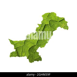 Pakistan carte faite de feuilles sur le fond blanc isolé Banque D'Images