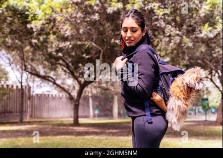 Une charmante jeune femme marche dans la nature, avec un sac à dos sur son épaule, d'où son chien sort. Concept relation et amour envers les animaux Banque D'Images