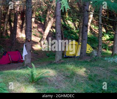 Camping sauvage dans le parc régional de Pentland Hills, Midlothian, Écosse Banque D'Images