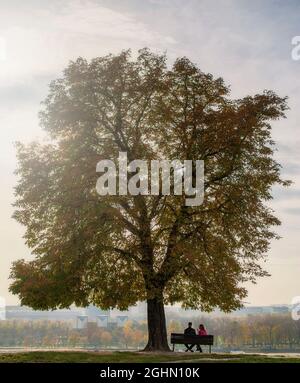 BELGRADE, SERBIE - 8 NOVEMBRE : siège de jeune couple romantique sur le banc dans la belle après-midi d'automne à Belgrade, Serbie, le 8 novembre 2014. Banque D'Images