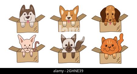 Ensemble de jolis animaux de compagnie kawaii dans des boîtes en carton. Différentes races de chiens et de chats. Illustration simple pour logo, emblème, autocollant, étiquette. Abri pour la dispersion Illustration de Vecteur