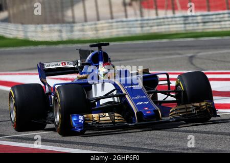 Pascal Wehrlein (GER) Sauber C36. 19.04.2017. Test de la formule 1. Sakhir, Bahreïn. Mercredi. Le crédit photo doit être lu : images XPB/Press Association. Banque D'Images