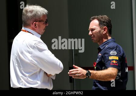 (De gauche à droite) : Ross Brawn (GBR) Directeur général, Sports motorisés avec Christian Horner (GBR) Directeur de l'équipe Red Bull Racing. 10.11.2017. Championnat du monde de Formule 1, Rd 19, Grand Prix brésilien, Sao Paulo, Brésil, Journée d'entraînement. Le crédit photo doit être lu : images XPB/Press Association. Banque D'Images